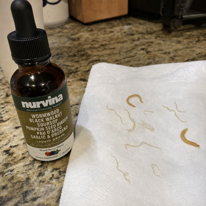 Nurvina Wormwood Drops — Debloat and Reset Your Gut, Naturally